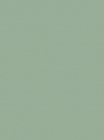 26.AMANDELGROEN Renolit 49246
