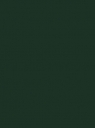 29.VERT SAPIN Renolit 6125 05
