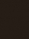38.BRUN NOIR Renolit 8518 05