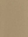 18. BEIGEGRIJS Renolit 1019 05