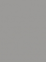 19. ZIJDEGRIJS Renolit 7004 05