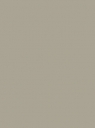 13. AGAATGRIJS Renolit 7038 05